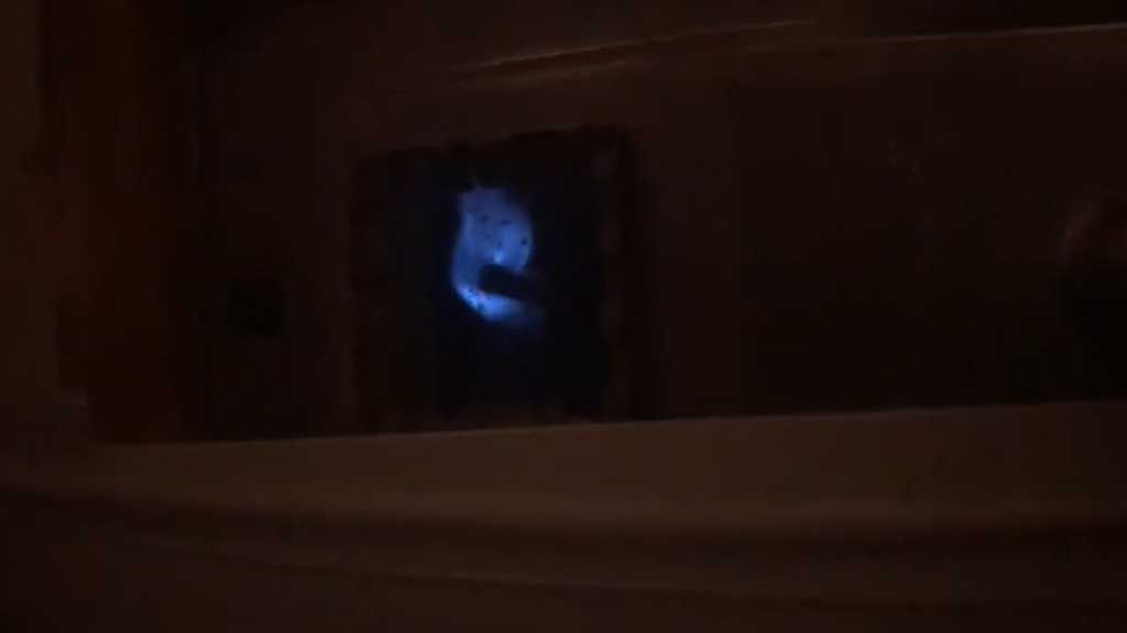 how to start the honeywell water heater pilot light